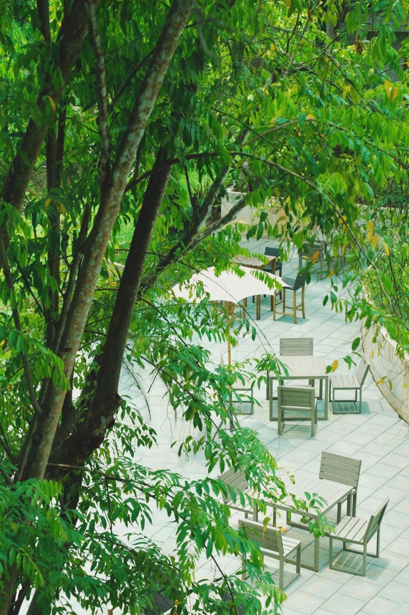 4seas Mountainview *